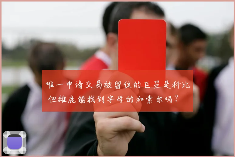 唯一申请交易被留住的巨星是科比 但雄鹿能找到字母的加索尔吗？