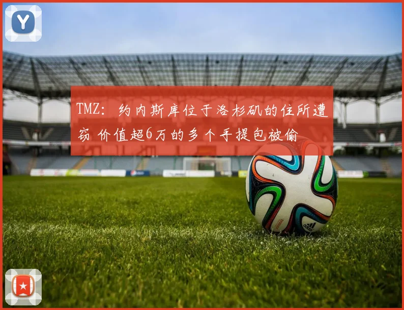 TMZ：约内斯库位于洛杉矶的住所遭窃 价值超6万的多个手提包被偷